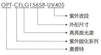 公海彩船6600(中国)官方网站